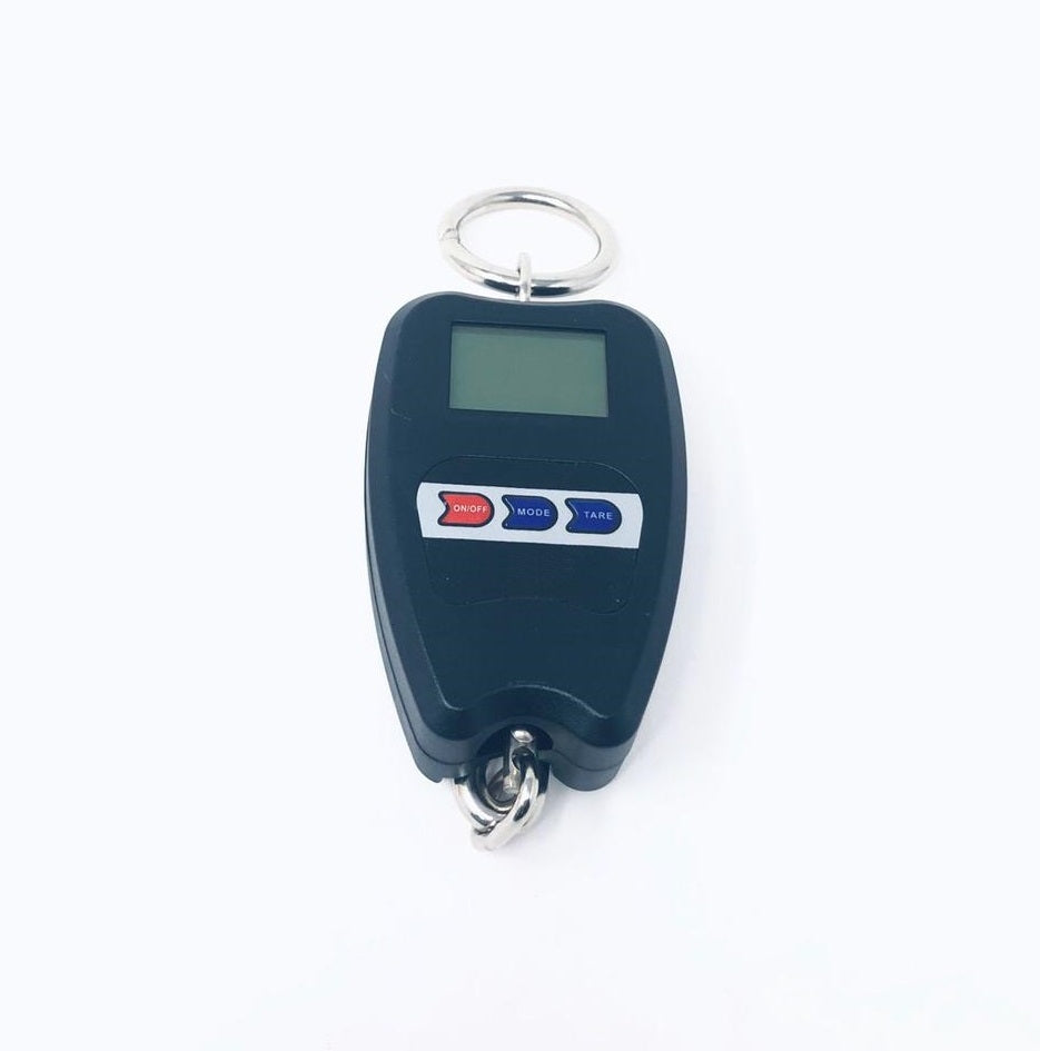 Bilancia Professionale Digitale Industriale Gancio Dinamometro Molla Max 200 Kg