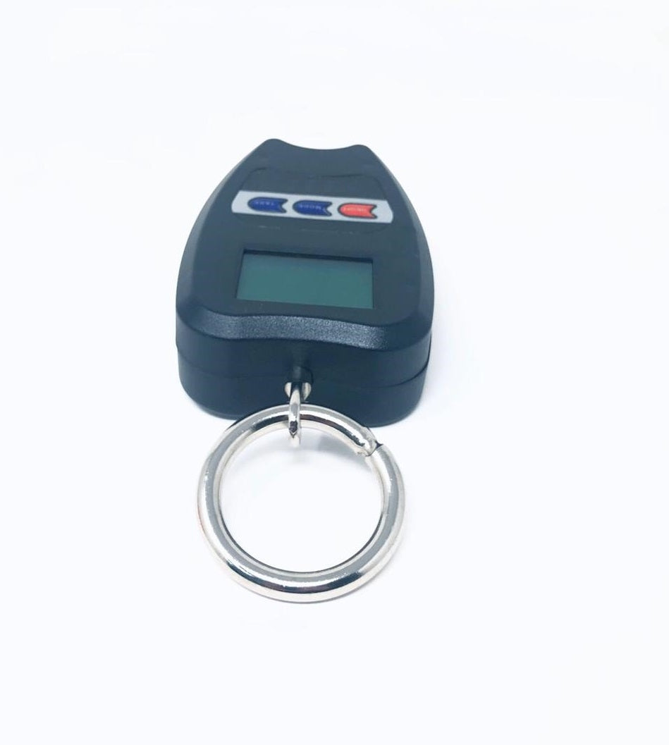 Bilancia Professionale Digitale Industriale Gancio Dinamometro Molla Max 200 Kg