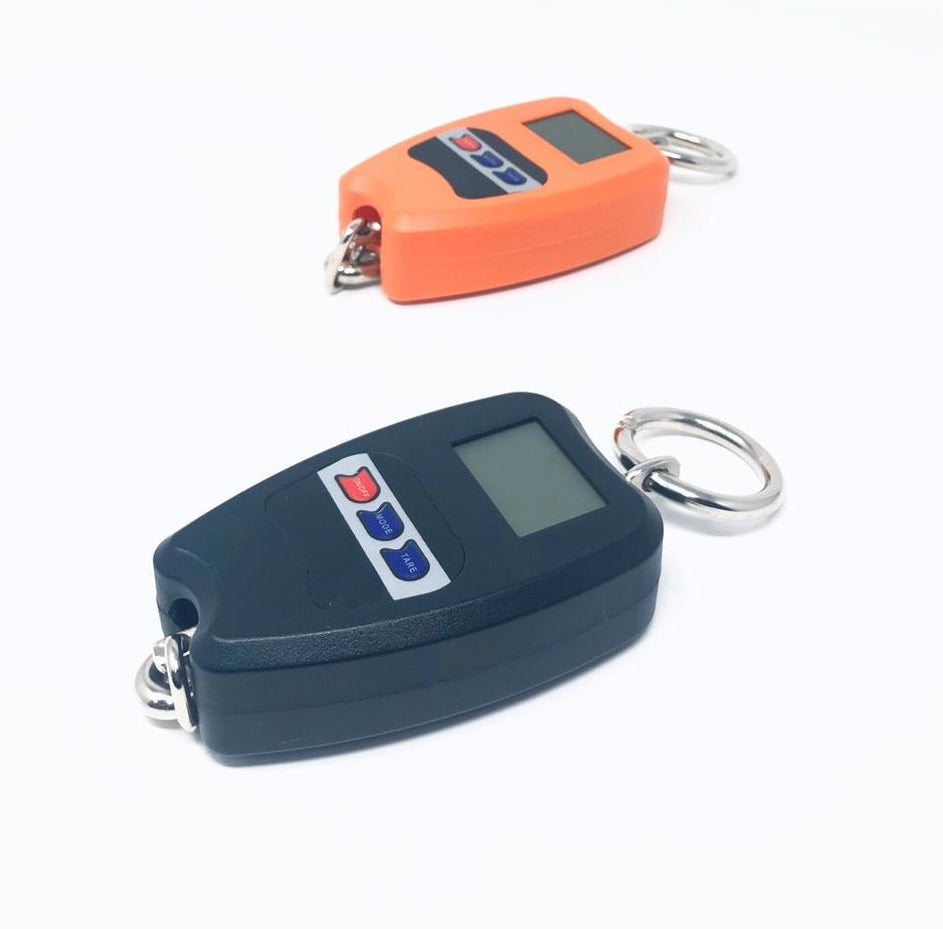 Bilancia Professionale Digitale Industriale Gancio Dinamometro Molla Max 200 Kg