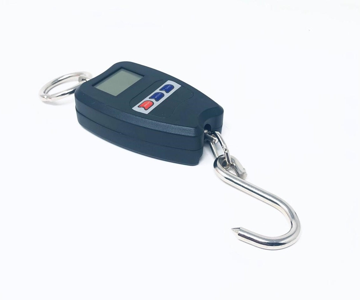 Bilancia Professionale Digitale Industriale Gancio Dinamometro Molla Max 200 Kg
