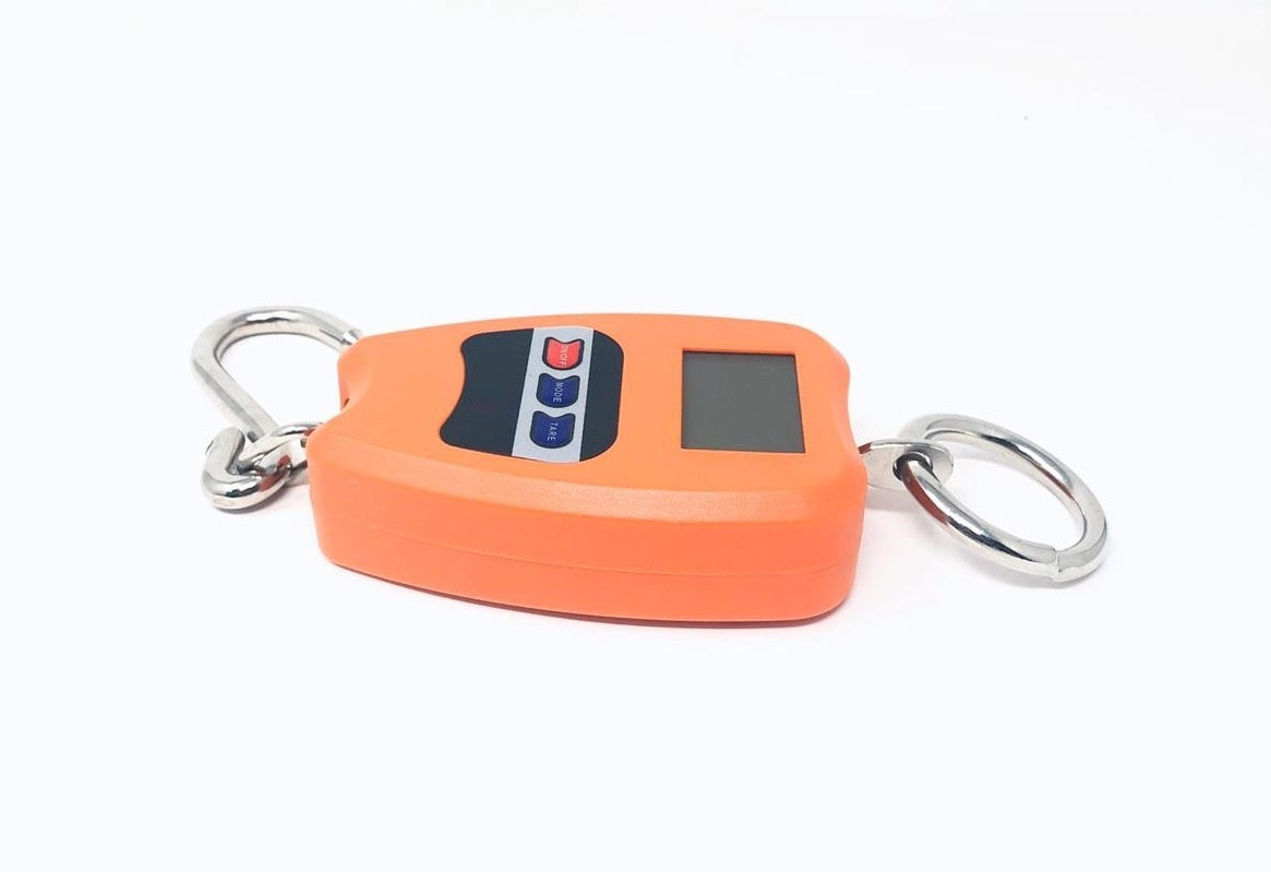 Bilancia Professionale Digitale Industriale Gancio Dinamometro Molla Max 200 Kg
