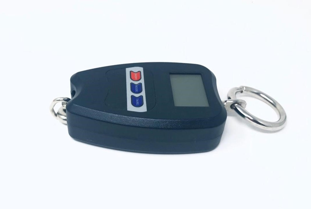 Bilancia Professionale Digitale Industriale Gancio Dinamometro Molla Max 200 Kg