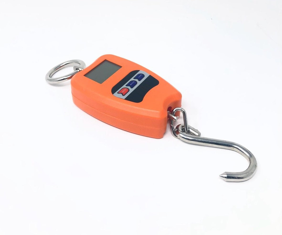 Bilancia Professionale Digitale Industriale Gancio Dinamometro Molla Max 200 Kg