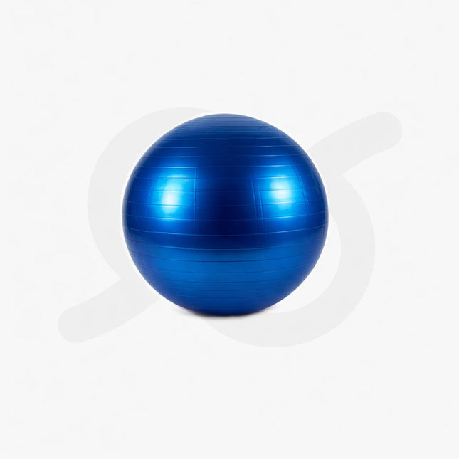 Palla Da Ginnastica Da 55 Cm Gonfiabile E Antiscivolo Per Yoga Fitness Pilates