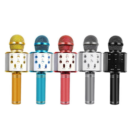 Microfono per karaoke wireless con cassa integrata e funzione eco per cantare