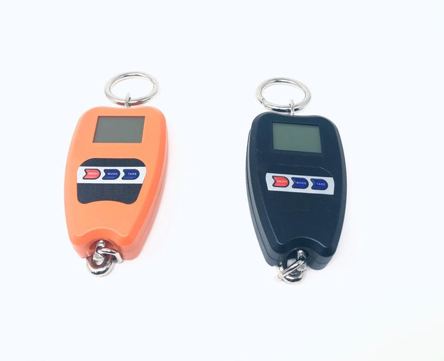 Bilancia Professionale Digitale Industriale Gancio Dinamometro Molla Max 200 Kg