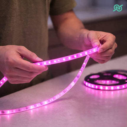 Kit striscia LED flessibile con il telecomando e con l'alimentatore e per la casa