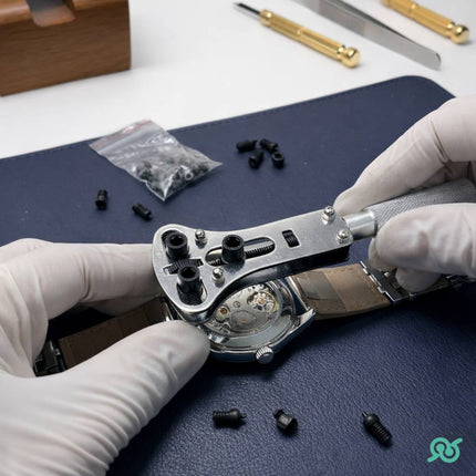 Kit Apri Casse Professionale, set di precisione con punte intercambiabili