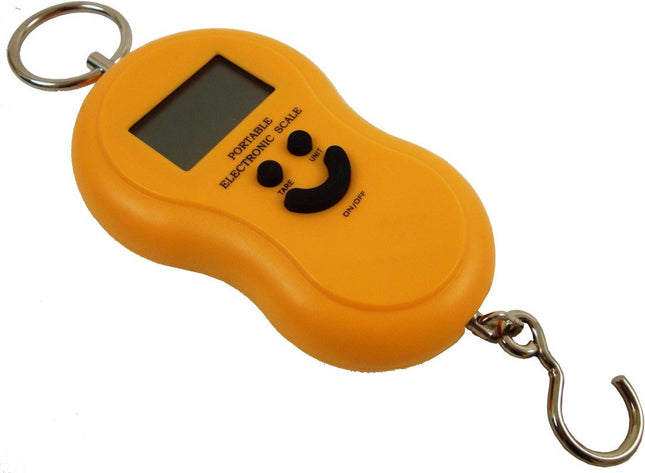 Bilancia a gancio portatile per valigie e pacchi con display digitale e batterie