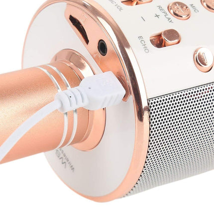Microfono per karaoke wireless con cassa integrata e funzione eco per cantare