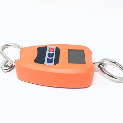 Bilancia Professionale Digitale Industriale Gancio Dinamometro Molla Max 200 Kg