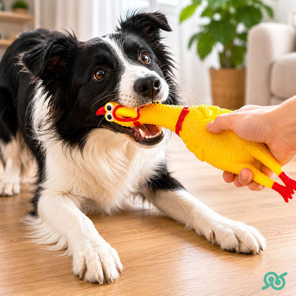 Gioco Sonoro per Cani a Forma di Pollo 30 cm, Giocattolo Mordicchiabile con Squeak, Accessorio per Addestramento e Intrattenimento Animali Domestici